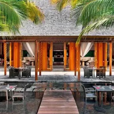 image-https://maldivus.ru/media/restaurants/551/image/400x400/-restaurant-5117.webp