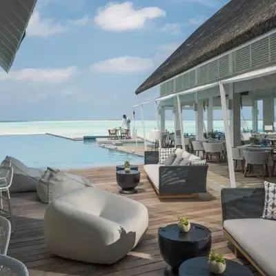 image-https://maldivus.ru/media/restaurants/557/image/400x400/-restaurant-21795.webp