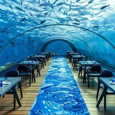 image-https://maldivus.ru/media/restaurants/564/image/400x400/-restaurant-84117.webp