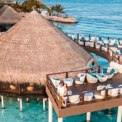 image-https://maldivus.ru/media/restaurants/566/image/400x400/-restaurant-55577.webp