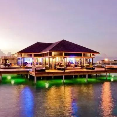 image-https://maldivus.ru/media/restaurants/57/image/400x400/-restaurant-96057.webp