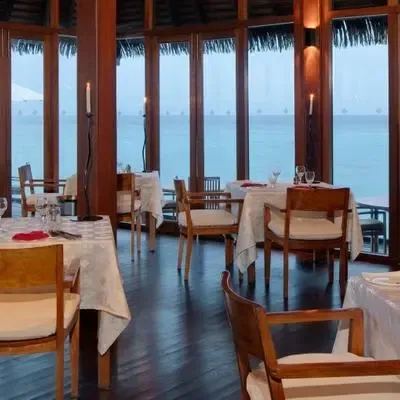 image-https://maldivus.ru/media/restaurants/573/image/400x400/-restaurant-79485.webp