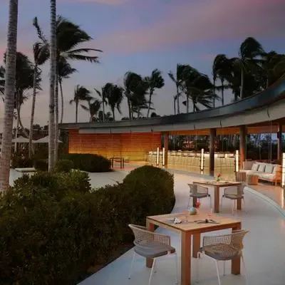 image-https://maldivus.ru/media/restaurants/582/image/400x400/-restaurant-8327.webp