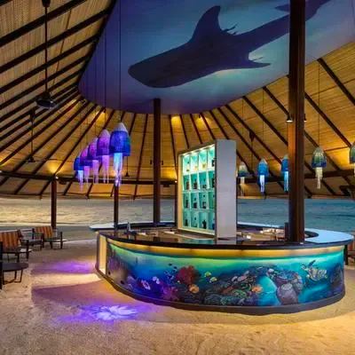 image-https://maldivus.ru/media/restaurants/586/image/400x400/-restaurant-94480.webp