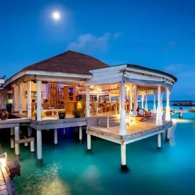 image-https://maldivus.ru/media/restaurants/593/image/400x400/-restaurant-69344.webp
