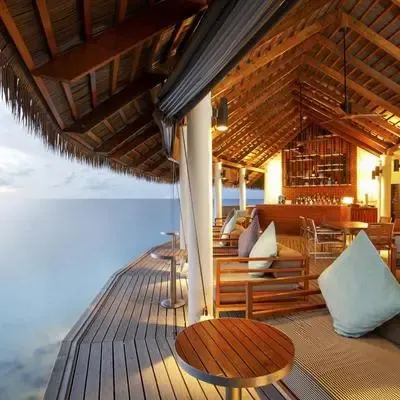 image-https://maldivus.ru/media/restaurants/595/image/400x400/-restaurant-87837.webp