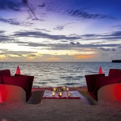 image-https://maldivus.ru/media/restaurants/598/image/400x400/-restaurant-32808.webp