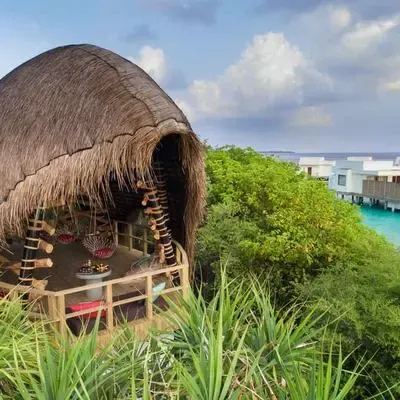 image-https://maldivus.ru/media/restaurants/606/image/400x400/-restaurant-83082.webp