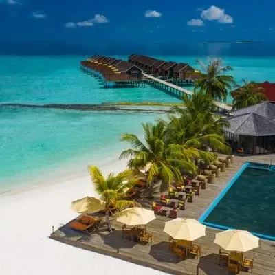 image-https://maldivus.ru/media/restaurants/608/image/400x400/-restaurant-46390.webp