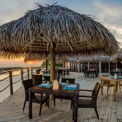 image-https://maldivus.ru/media/restaurants/61/image/400x400/-restaurant-10310.webp