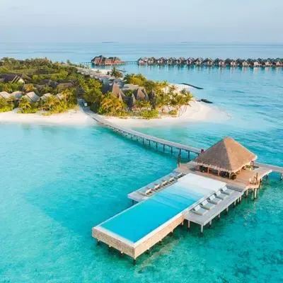 image-https://maldivus.ru/media/restaurants/616/image/400x400/-restaurant-10029.webp
