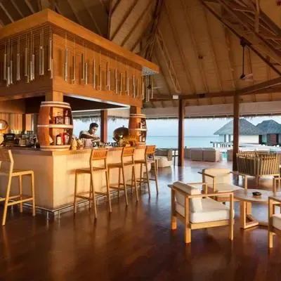 image-https://maldivus.ru/media/restaurants/620/image/400x400/-restaurant-11481.webp