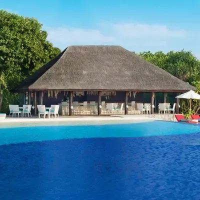image-https://maldivus.ru/media/restaurants/627/image/400x400/-restaurant-63286.webp