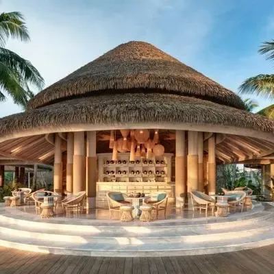image-https://maldivus.ru/media/restaurants/628/image/400x400/-restaurant-83624.webp