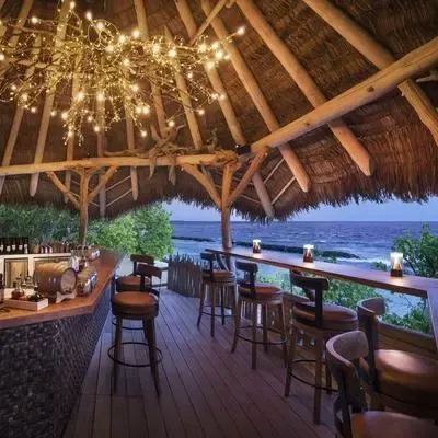 image-https://maldivus.ru/media/restaurants/631/image/400x400/-restaurant-37802.webp
