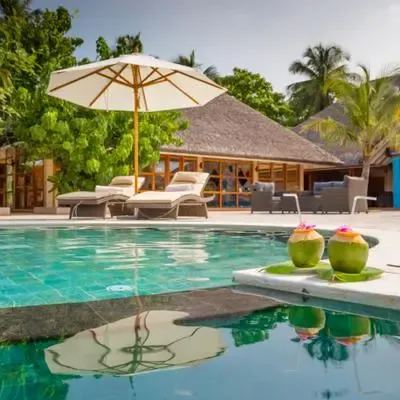 image-https://maldivus.ru/media/restaurants/634/image/400x400/-restaurant-17021.webp