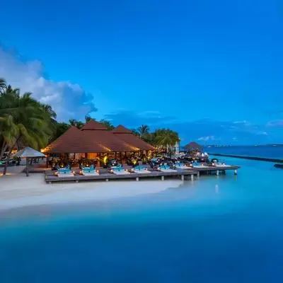 image-https://maldivus.ru/media/restaurants/635/image/400x400/-restaurant-37353.webp