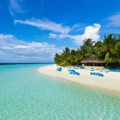 image-https://maldivus.ru/media/restaurants/636/image/400x400/-restaurant-77190.webp