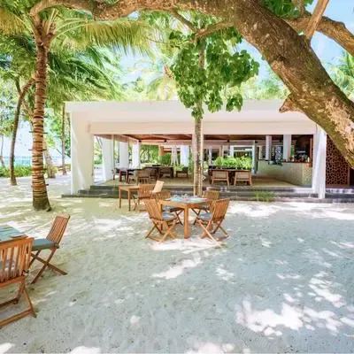 image-https://maldivus.ru/media/restaurants/641/image/400x400/-restaurant-7484.webp