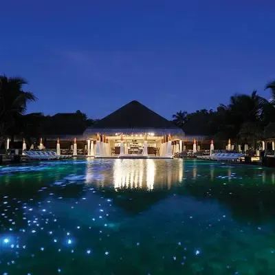 image-https://maldivus.ru/media/restaurants/66/image/400x400/-restaurant-34847.webp