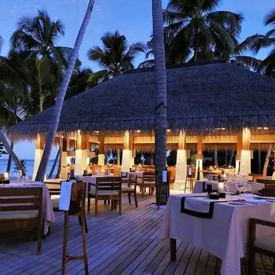 image-https://maldivus.ru/media/restaurants/67/image/400x400/-restaurant-36073.webp