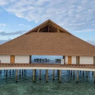 image-https://maldivus.ru/media/restaurants/670/image/400x400/-restaurant-53419.webp