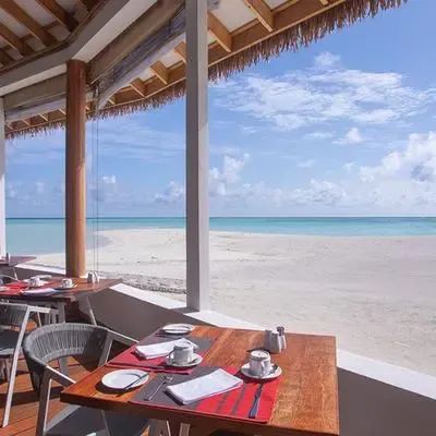 image-https://maldivus.ru/media/restaurants/671/image/400x400/-restaurant-13742.webp