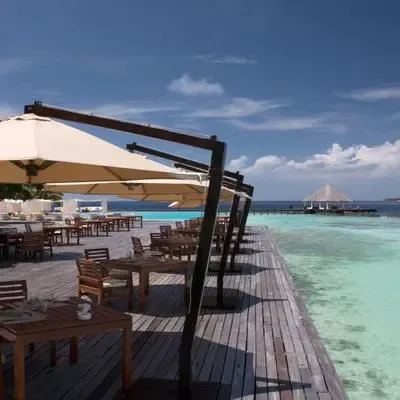image-https://maldivus.ru/media/restaurants/676/image/400x400/-restaurant-70293.webp