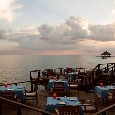 image-https://maldivus.ru/media/restaurants/677/image/400x400/-restaurant-87258.webp