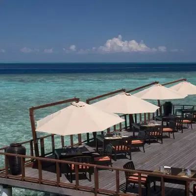image-https://maldivus.ru/media/restaurants/679/image/400x400/-restaurant-71623.webp