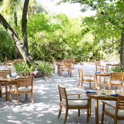 image-https://maldivus.ru/media/restaurants/681/image/400x400/-restaurant-79304.webp