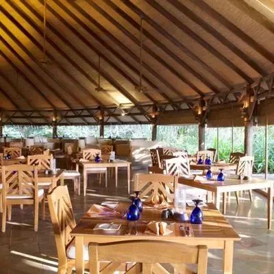 image-https://maldivus.ru/media/restaurants/682/image/400x400/-restaurant-99830.webp