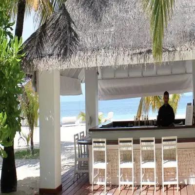 image-https://maldivus.ru/media/restaurants/687/image/400x400/-restaurant-41318.webp
