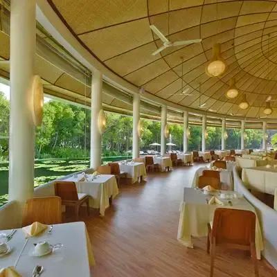 image-https://maldivus.ru/media/restaurants/688/image/400x400/-restaurant-31446.webp