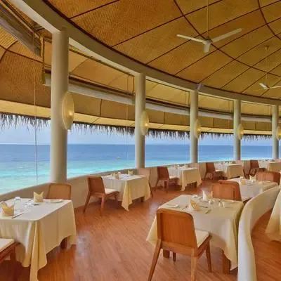 image-https://maldivus.ru/media/restaurants/689/image/400x400/-restaurant-26541.webp