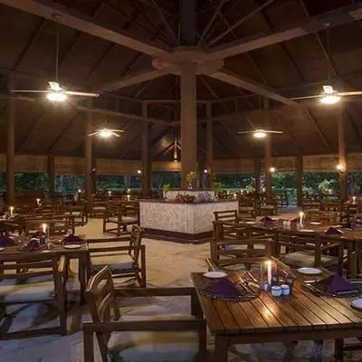 image-https://maldivus.ru/media/restaurants/695/image/400x400/-restaurant-51952.webp