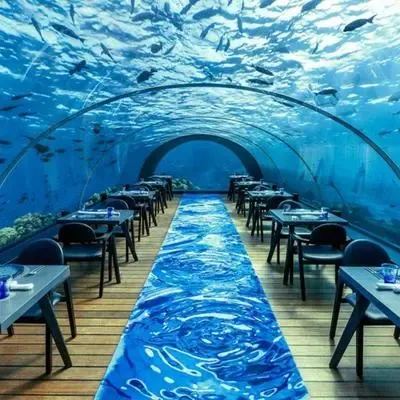 image-https://maldivus.ru/media/restaurants/709/image/400x400/-restaurant-86409.webp
