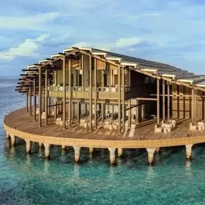 image-https://maldivus.ru/media/restaurants/711/image/400x400/-restaurant-31175.webp