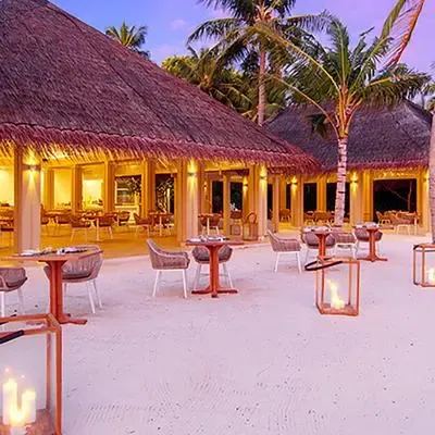 image-https://maldivus.ru/media/restaurants/72/image/400x400/-restaurant-64819.webp