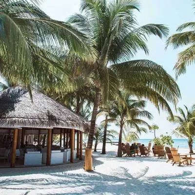 image-https://maldivus.ru/media/restaurants/728/image/400x400/-restaurant-73728.webp