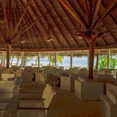 image-https://maldivus.ru/media/restaurants/730/image/400x400/-restaurant-53885.webp