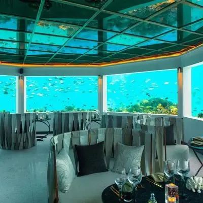 image-https://maldivus.ru/media/restaurants/734/image/400x400/-restaurant-71902.webp