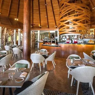 image-https://maldivus.ru/media/restaurants/738/image/400x400/-restaurant-89479.webp