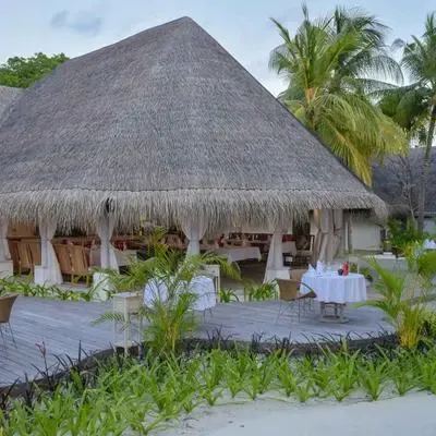 image-https://maldivus.ru/media/restaurants/743/image/400x400/-restaurant-80734.webp