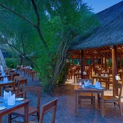 image-https://maldivus.ru/media/restaurants/747/image/400x400/-restaurant-22110.webp