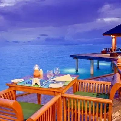image-https://maldivus.ru/media/restaurants/748/image/400x400/-restaurant-57567.webp