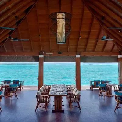 image-https://maldivus.ru/media/restaurants/749/image/400x400/-restaurant-83078.webp
