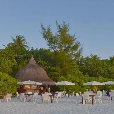 image-https://maldivus.ru/media/restaurants/751/image/400x400/-restaurant-37438.webp