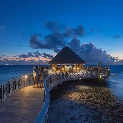 image-https://maldivus.ru/media/restaurants/76/image/400x400/-restaurant-44876.webp