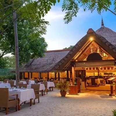 image-https://maldivus.ru/media/restaurants/79/image/400x400/-restaurant-49913.webp